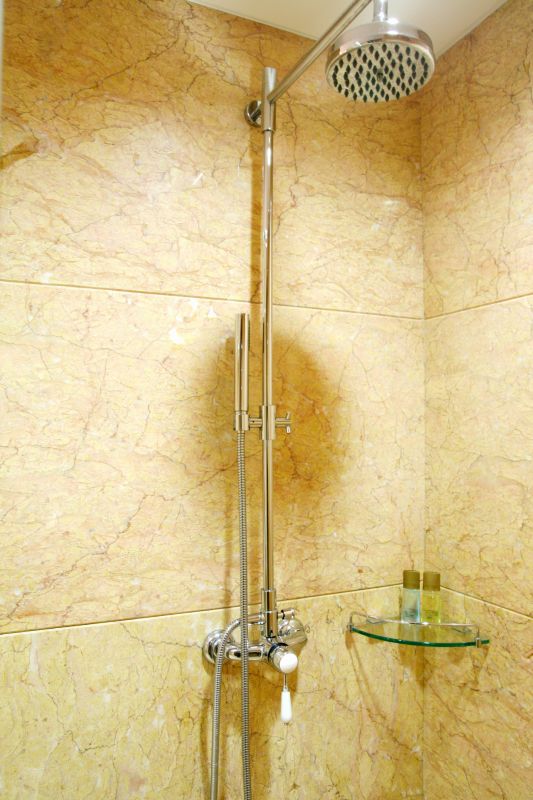 Luxury Shower Head